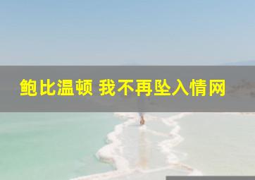 鲍比温顿 我不再坠入情网